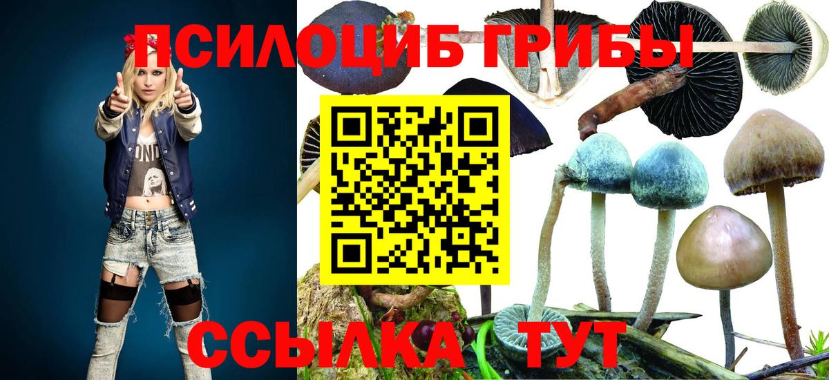 Псилоцибиновые грибы мухоморы  Вход с VPN  Мирный 